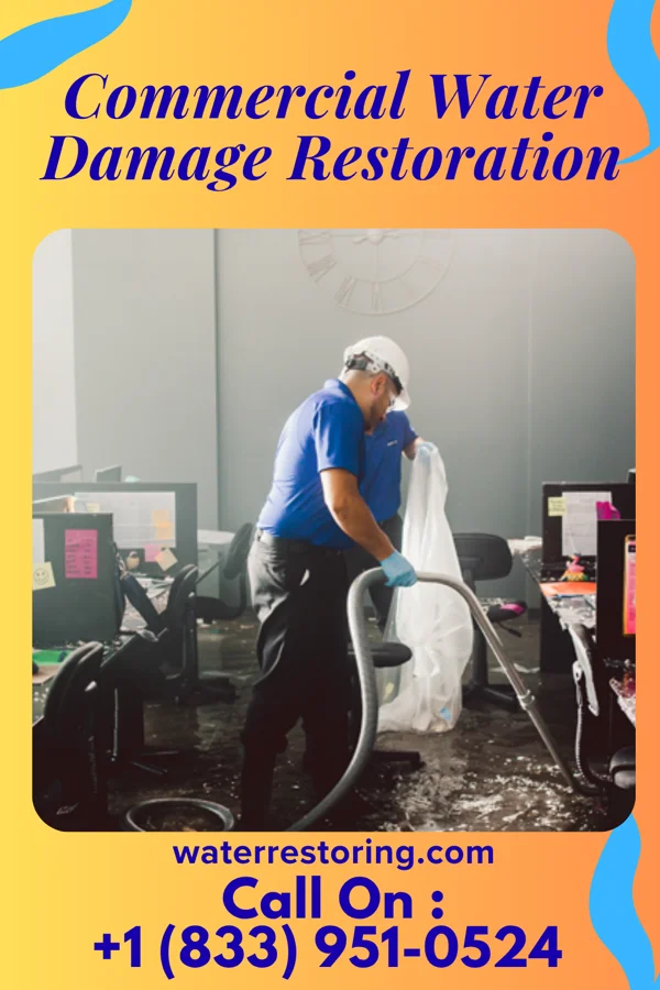 Commercial Water Damage Restoration in Eagleton Village, TN