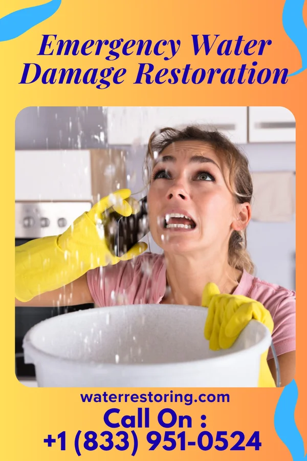 Emergency Water Damage Restoration in Eagleton Village, TN